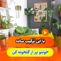 با قرص کود گلهاتو شاداب کن|گل و گیاه طبیعی|ساری, |دیوار