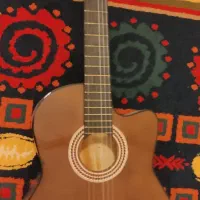 گیتار c40