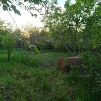 زمین روستایی/۲۵۰متر