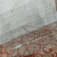 دوعدد قفس ۴۰در ۶۰مخصوص عروس و گرینچیک