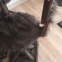 نهارخوری چهارنفره فانتزی واز چوب جنگل|میز و صندلی غذاخوری|تبریز, |دیوار