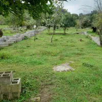 فروش زمین مسکونی پلاک صفرجنگل وپلاک 2جاده اصلی|فروش زمین و ملک کلنگی|ماکلوان, |دیوار