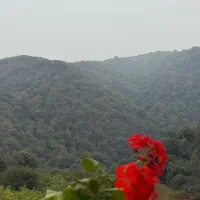 زمین-واقع-در-کوه-گرجی-محله