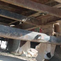 تریلی دوچرخ|خودرو سنگین|سرپل ذهاب, |دیوار