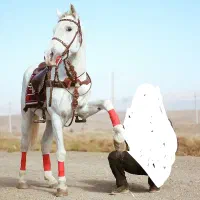 اسب نریان عرب