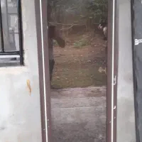 بوفه در حد نو|بوفه، ویترین، کنسول|قائم‌شهر, |دیوار