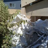 خریدارپوستهکابلوقلمبه|فعالیت داوطلبانه|کهریزک, |دیوار