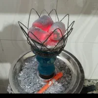 ذغال انجیر|عمده‌فروشی|قم, چهل درخت‎|دیوار