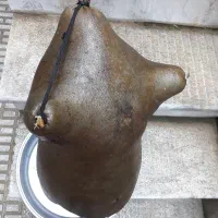 هیزه