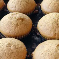 فربان نان فانتزی نیازمندیم