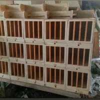 لانه کبوتر|لوازم جانبی حیوانات|قزوین, |دیوار