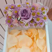 سوپرایز گل|گل و گیاه طبیعی|بندرعباس, |دیوار