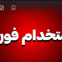 فروشنده تلفنی با پشتکار