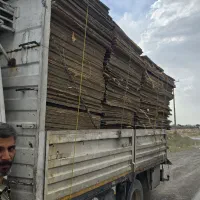 کارتن سوپر