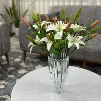 گل های جاودان