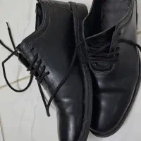 کفش مردونه