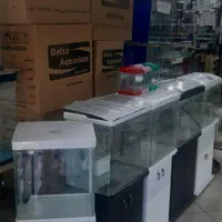 اکواریوم و ماهی تزیینی