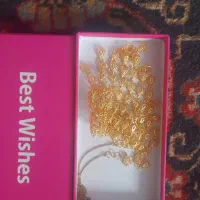 سینه زرهی اشک|بدلیجات|ارومیه, |دیوار