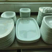 سرویس18 نفره چینی زرین گلدن لوتوس|ظروف سرو و پذیرایی|شاهینشهر, طالقانی|دیوار