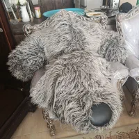 عروسک بزرگ|اسباب‌‌بازی|اصفهان, جلالیه|دیوار