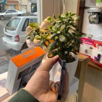 Iphone 13 promax|موبایل|ارومیه, |دیوار