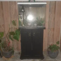 فروش آکواریوم فروشی|ماهی|برخوار, |دیوار