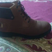 cat|کیف، کفش، کمربند|فورگ, |دیوار