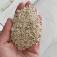 برنج روستای گوشه