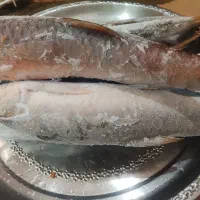 ماهی تازه