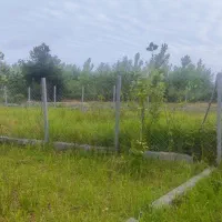 200متر زمین دریاسر|فروش زمین و ملک کلنگی|شلمان, |دیوار