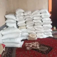 برنج طارم هاشمی