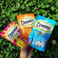 تشویقی گربه درمیز