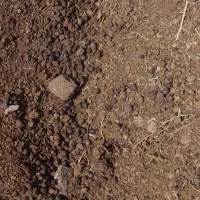 کود دامی گوسفندی  گاوی ورمی تضمینی|لوازم جانبی حیوانات|رضویه, |دیوار