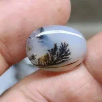 سنگ شجر اصل خوش قواره