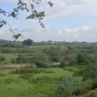 ۹۴۰۰متر زمین مسکونی باغی|فروش زمین و ملک کلنگی|احمدسرگوراب, |دیوار