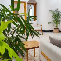 اگهی نیازمندصافکار