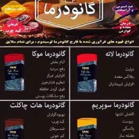 قهوه های دکتر بیز با عصاره قارچ گانودرما|خوردنی و آشامیدنی|مشهد, دانشجو|دیوار