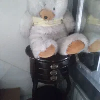 میز و خرس