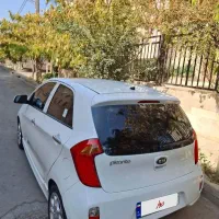 پیکانتو سفید استثنایی کم کار