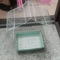 قفس طوطی برزیلی