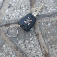 سویچ پیدا شده