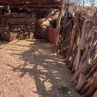 مرغ وخروس گلین لری|حیوانات مزرعه|قزوین, |دیوار