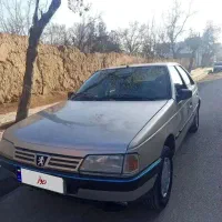 پژو ۴۰۵ تمیز دوگانه