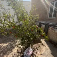 باغچه با بنای نوساز دوخواب حقآبه و برقدار|فروش خانه و ویلا|جوادآباد, |دیوار