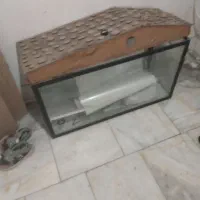 آکواریوم سالم و تمیز