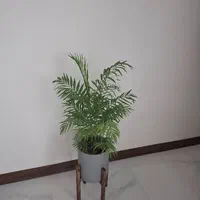 ثبت شرکت /صورتجلسه/مجوز/کارت بازرگانی/برند|خدمات مالی، حسابداری، بیمه|کرج, چهارصد دستگاه|دیوار