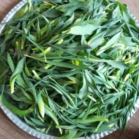 ململاس|گل و گیاه طبیعی|ایذه, |دیوار