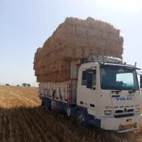 فروش کاه و پرس|عمدهفروشی|سبزوار, قصبه غربی|دیوار