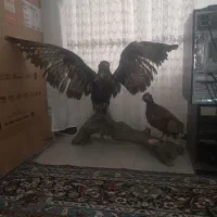 مجسمه دکور  وحوش خشک شده