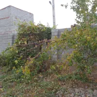 خونه ویلایی 388 متری سند دار|فروش خانه و ویلا|ملکان, |دیوار